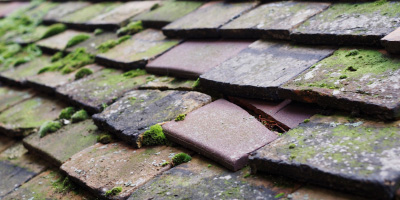 Pinvin roof repair costs